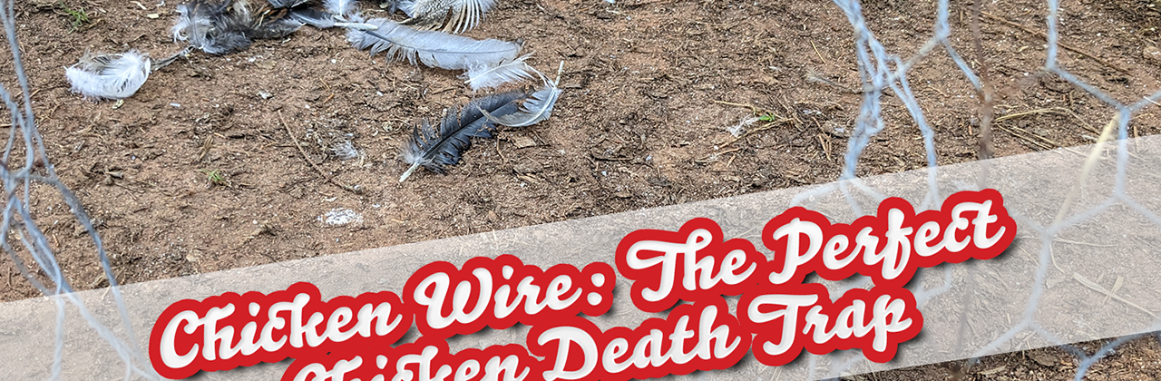 Chickens 101: Chicken Wire - The Perfect Chicken Death Trap?